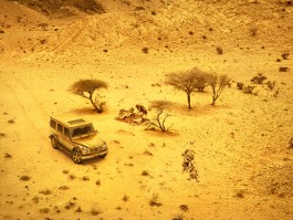 Elke Griessmayr Make-up Artist